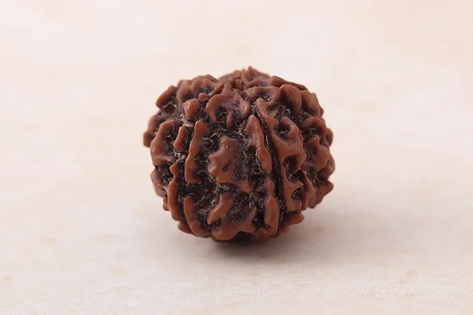 Online 5 Mukhi Rudraksha Single Bead